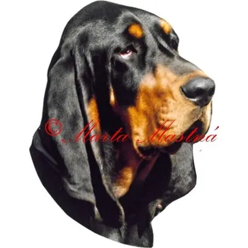 Samolepka coonhound 285