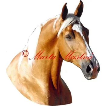 Samolepka kůň isabela, koně 354