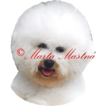 Samolepka bišonek archiv 426