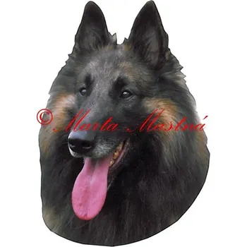 Samolepka belgický ovčák tervueren archiv 1