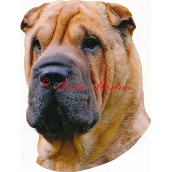 Samolepka šarpej, sharpei - archiv 144