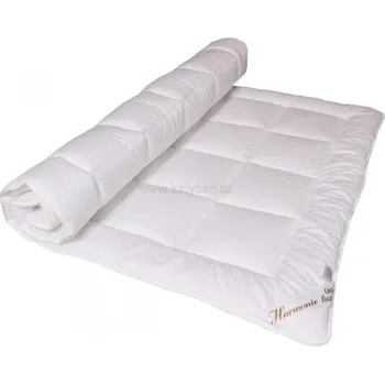 přikrývka 2G Přikrývka Harmonie lux zimní 220x135(1300g)