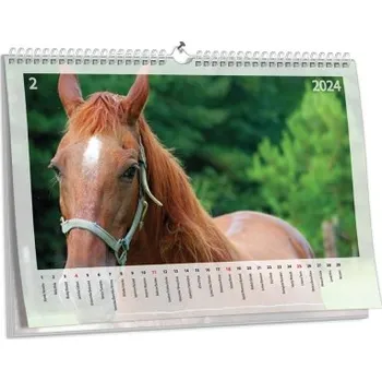 Fotokalendář Nástěnný fotokalendář NKN-87 (A5)