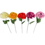 Nohel Garden Chryzantéma květ 62 cm mix…