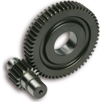 Motodíl Malossi Převod sekundární 15/55 6711135