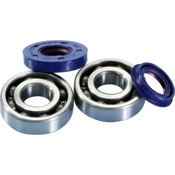 Polini Ložiska + gufera Minarelli 50 - C4 282.0002