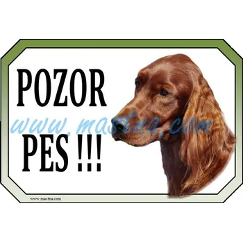 Cedulka irský setr, irish setter pozor - Bez samolepicí vrstvy