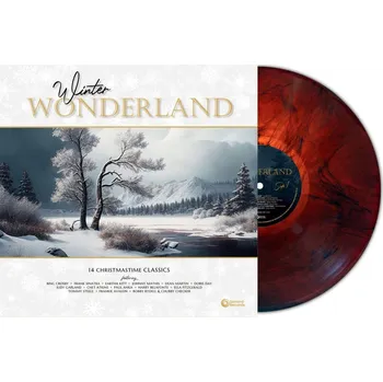 Zahraniční hudba Various: Winter Wonderland (Coloured Red Marble Vinyl) - Vinyl (LP)