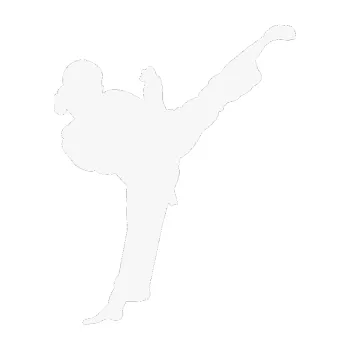 Polep vozidla Karate 012 pravá (09 - bílá) SAMOLEPKA NA AUTO, NÁLEPKA, FÓLIE, POLEP, TUNING, VLASTNÍ TEXT, TISK, AUTOSAMOLEPKY.cz, POLEPY, OBRÁZEK, LOGO, 3D STICKERS