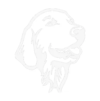 Polep vozidla Pes 074 pravá Zlatý retrívr (09 - bílá) SAMOLEPKA NA AUTO, NÁLEPKA, FÓLIE, POLEP, TUNING, VLASTNÍ TEXT, TISK, AUTOSAMOLEPKY.cz, POLEPY, OBRÁZEK, LOGO, 3D STICKERS