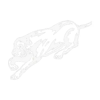 Polep vozidla SAMOLEPKA Pes 049 levá (09 - bílá) NA AUTO, NÁLEPKA, FÓLIE, POLEP, TUNING, VLASTNÍ TEXT, TISK, AUTOSAMOLEPKY.cz, POLEPY, OBRÁZEK, LOGO, SAMOLEPKY