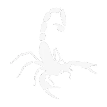 Polep vozidla Štír 018 pravá (09 - bílá) SAMOLEPKA NA AUTO, NÁLEPKA, FÓLIE, POLEP, TUNING, VLASTNÍ TEXT, TISK, AUTOSAMOLEPKY.cz, POLEPY, OBRÁZEK, LOGO, 3D STICKERS