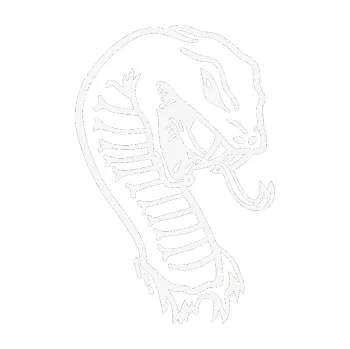 Samolepící dekorace SAMOLEPKA Cobra pravá (09 - bílá) NA AUTO, NÁLEPKA, FÓLIE, POLEP, TUNING, VLASTNÍ TEXT, TISK, AUTOSAMOLEPKY.cz, POLEPY, OBRÁZEK, LOGO, SAMOLEPKY