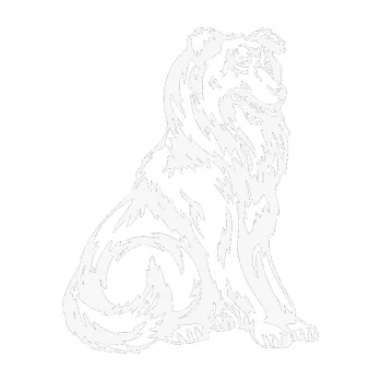 Polep vozidla SAMOLEPKA Pes 037 pravá Kolie (09 - bílá) NA AUTO, NÁLEPKA, FÓLIE, POLEP, TUNING, VLASTNÍ TEXT, TISK, AUTOSAMOLEPKY.cz, POLEPY, OBRÁZEK, LOGO, SAMOLEPKY