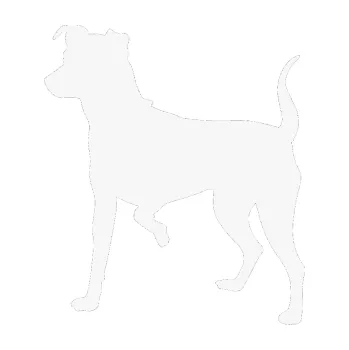 Polep vozidla SAMOLEPKA Pes 075 levá Pražský krysařík (09 - bílá) NA AUTO, NÁLEPKA, FÓLIE, POLEP, TUNING, VLASTNÍ TEXT, TISK, AUTOSAMOLEPKY.cz, POLEPY, OBRÁZEK, LOGO, SAMOLEPKY