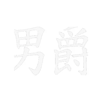 Polep vozidla SAMOLEPKA Čínský znak Baron (09 - bílá) NA AUTO, NÁLEPKA, FÓLIE, POLEP, TUNING, VLASTNÍ TEXT, TISK, AUTOSAMOLEPKY.cz, POLEPY, OBRÁZEK, LOGO, SAMOLEPKY