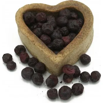 Sušená potravina FITBOY Borůvky lyofilizované 100g 100g