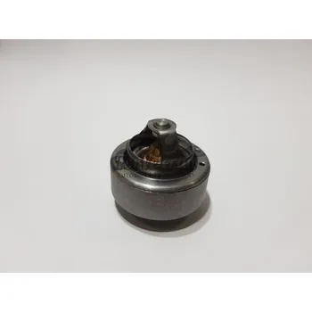 TERMOSTAT náhrada ŠKODA 1000MB ; 110095090 (110095090)