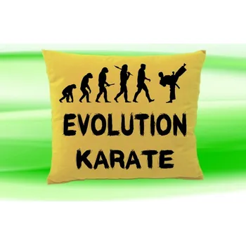 Polštář Polštář Evolution KARATE (polštářek evolution )