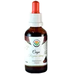 Čaga - Chaga bezalkoholová tinktura 50ml Salvia Paradise