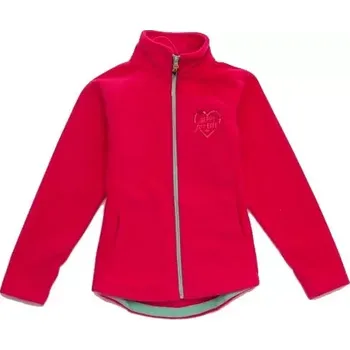 Dívčí mikina Dětská mikina flís Wolf vel.164