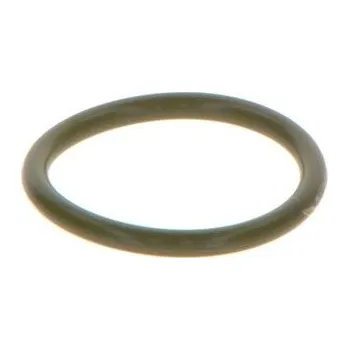 Těsnění motoru Pryžový kroužek BOSCH F 00V C38 041