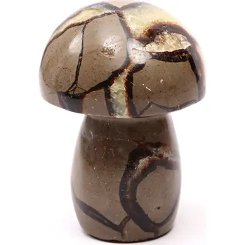 Drahý kámen Magieprirody.cz Houba z kamene Septárie 95 mm - 461 g #C21