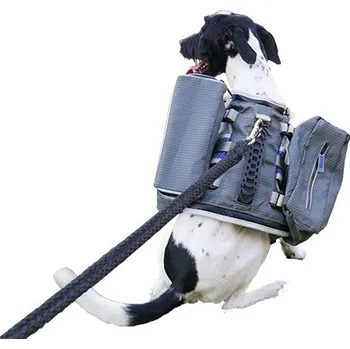 Obojek pro psa POSTROJ S BATOHEM 2V1 XL