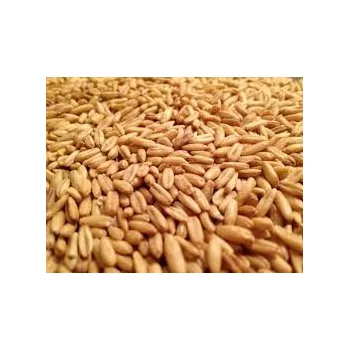 Krmivo pro koně OVES loupaný, bezpluchý - 25 kg