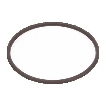 Těsnění motoru Pryžový kroužek BOSCH F 00H N35 932