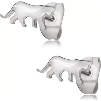 Náušnice Náušnice z chirurgické oceli stříbrné barvy, puma