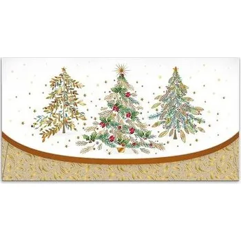 Obálka ARGUS Obálka na voucher vánoční 91-6004