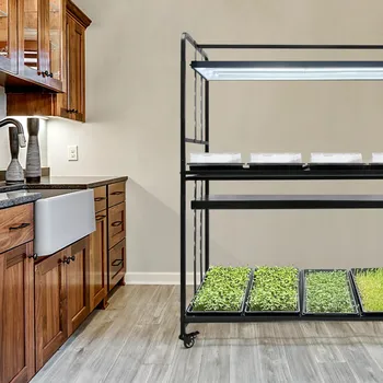 Pěstební box LEDMEGROW MicroGrow144 Regál s LED osvětlením pro pěstování rostlin 144W