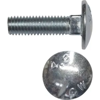 Šroub Šroub vratový DIN 603 4.6 ZB M10x300