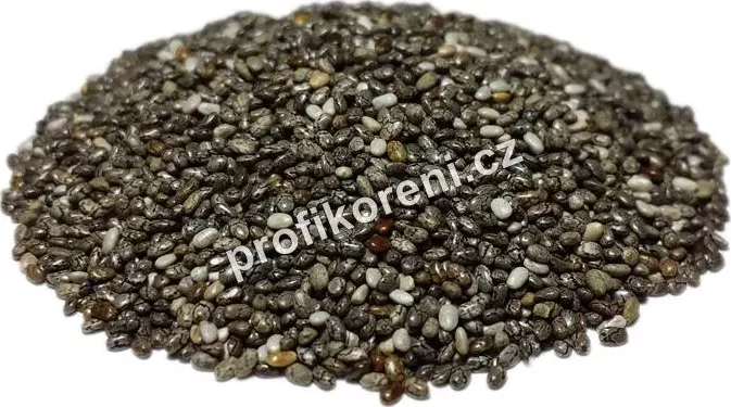 Profikoření - Chia semínka (1 Kg)