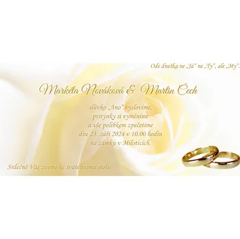 Svatební dekorace Svatební oznámení - DL - 004