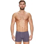 Pánské boxerky Body&Soul 10/1-13/88 FABIO šedá XL