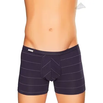 Boxerky Pánské boxerky Body&Soul 10/1-13/73 FABIO šedá tmavá M