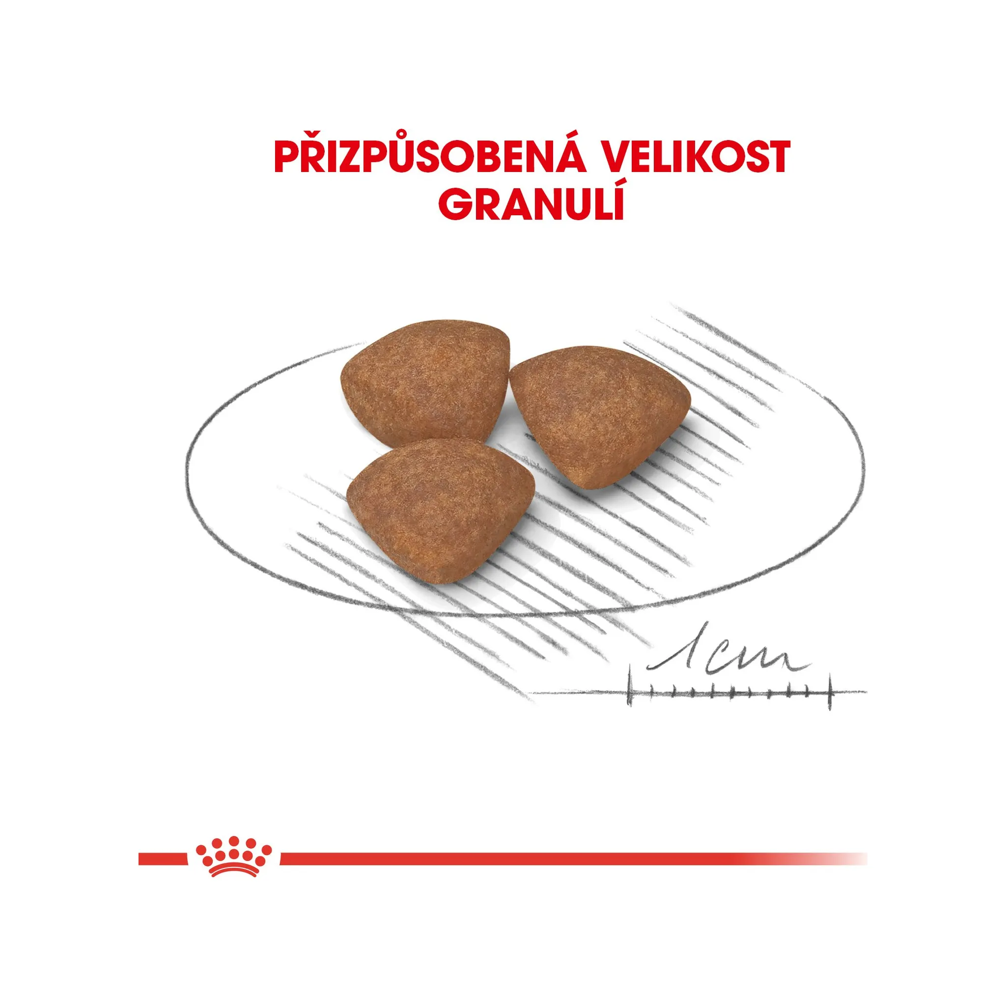 Fotografie 6 - Krmivo pro psa Royal Canin Mini Puppy 8 kg