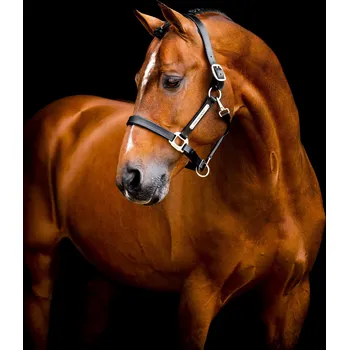 HORSEWARE Ohlávka kožená Signature Horseware, černá FULL