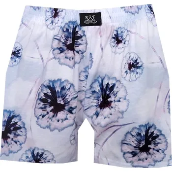 Pánské spodní prádlo Dámské Trenýrky FOLTÝN DTR 91 Velikost: 2XL