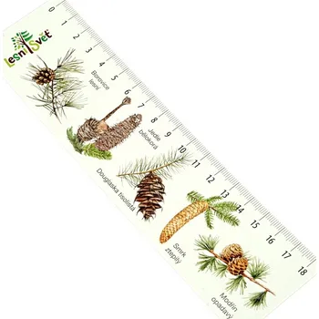 Zarážka na knihu Lesní svět Papírová záložka s měřítkem Jehličnany (Papírová záložka s měřítkem od českého výrobce Lesní svět. Ideální záložka do učebnice přírodopisu. Obrázky malují čeští ilustrátoři. Rozměry: (š) 19 cm × (v) 5 cm, 1str. potisk.)