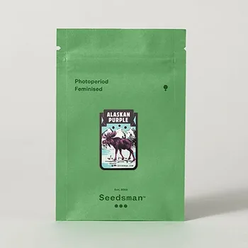 CBD Alaskan Purple – feminizovaná semena | Seedsman Feminized (Ks): 1