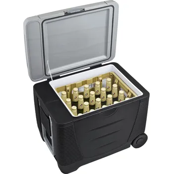 G21 C&W 45 l