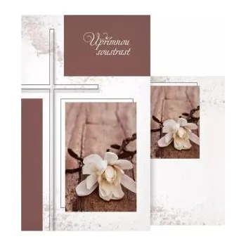 Přání MFP kondolenční malé M18-239 s textem