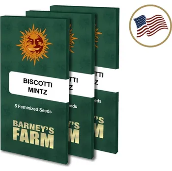 Semeno Biscotti Mintz – feminizovaná semena | Barneys Farm Feminized (Ks): 1