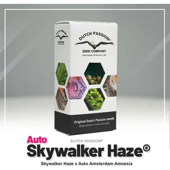 Semeno Skywalker Haze® AUTO – samonakvétací semena | Dutch Passion Feminized (Ks): 3 + 1 Zdarma