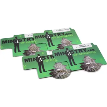 Semeno Carnival – feminizovaná semena | Ministry Of Cannabis Feminized (Ks): 2