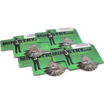 Semeno White Widow – feminizovaná semena | Ministry Of Cannabis Feminized (Ks): 2