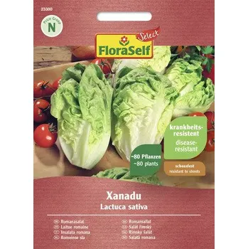 Semeno Salát římský Xanadu FloraSelf Select